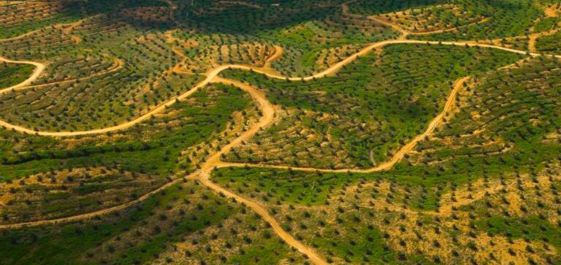 Biofuel